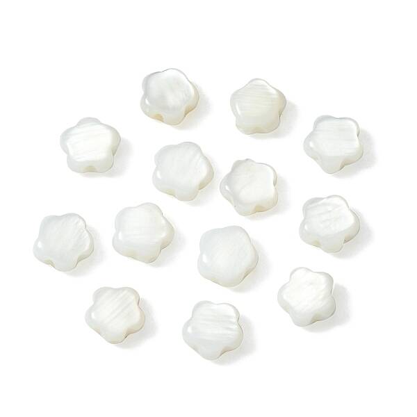 30Pcs Natural Freshwater Shell Beads