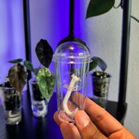 Small Self-Watering Seed Starter Cup