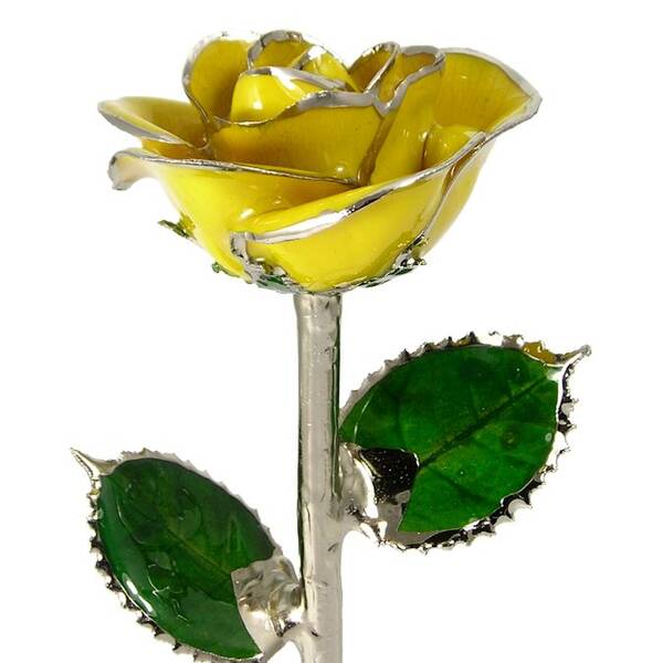 Platinum Trimmed Rose: 11 Yellow Rose