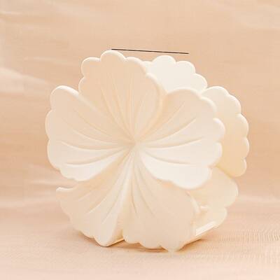 Flower Plastic Claw Hair Clips