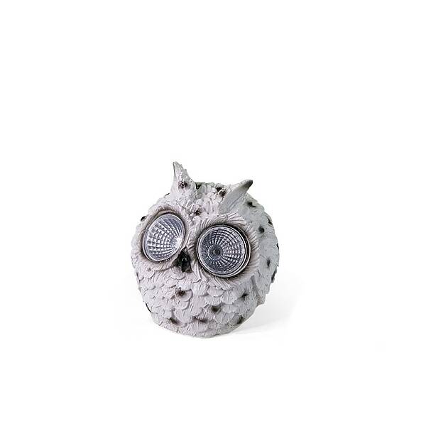 Creative Owl Resin Display Decorations