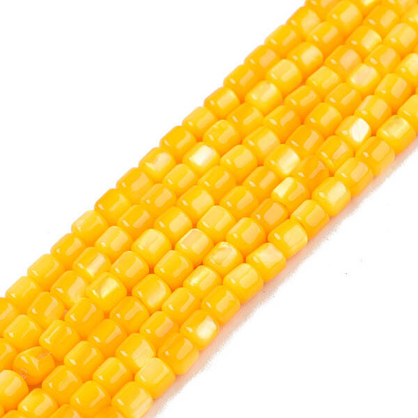 Natural Freshwater Shell Beads Strands