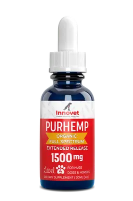 Hemp Oil for Pets