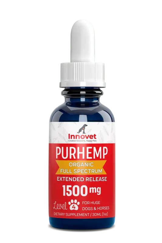 Hemp Oil for Pets