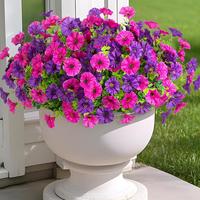 8PC/16PC Flowers Plants Baskets for Outdoor Spring Summer Decoration, Faux Silk White Morning Glory Look Real UV Resistant fo...
