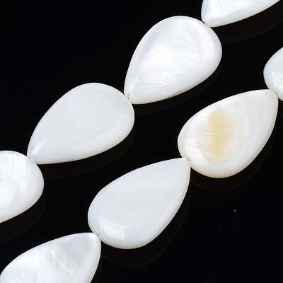 Natural Sea Shell Beads Strands
