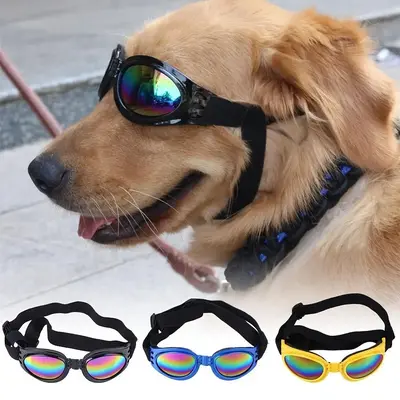 Foldable Pet Sunglasses, 1 Count Dustproof & Fashionable Pet Eyewear, Durable Pet Accessories for Cats and Dogs