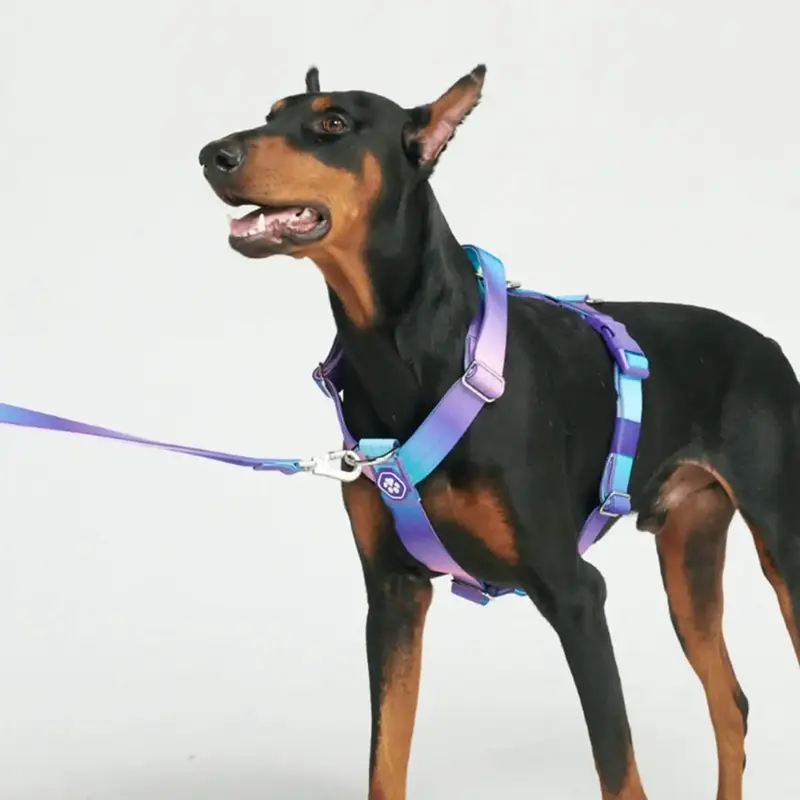 Spark Paws Comfort Control Large Dog No-Pull Harness, Halter Design with Front Clip, Durable and Heavy-Duty for Big and Stron...