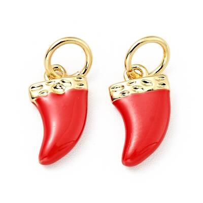 Brass Enamel Charms