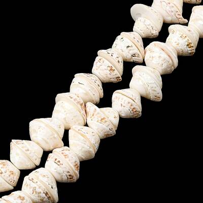 Natural Shell Bead Strands