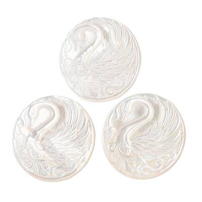 Natural White Shell Cabochons