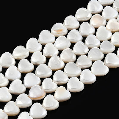 Natural Freshwater Shell Beads Strands