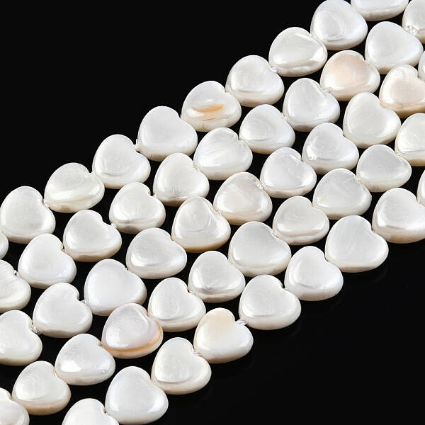 Natural Freshwater Shell Beads Strands