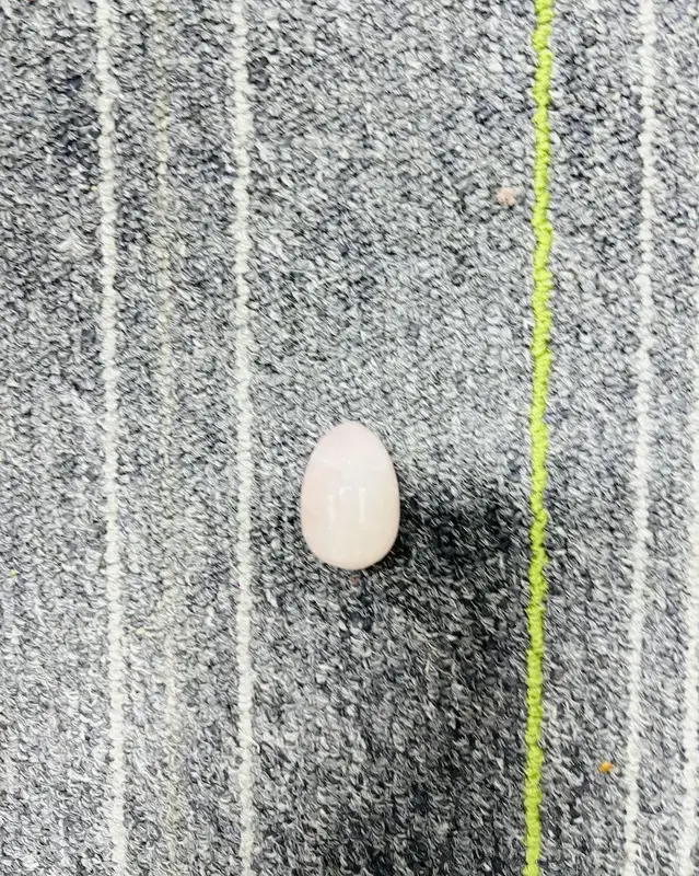 B「only live」crystal carving egg