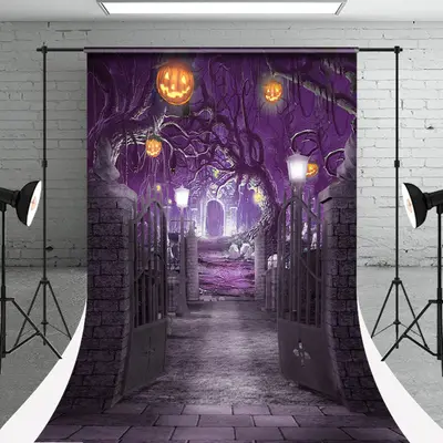 Door Pumpkin Lantern Halloween Photo Sweep Backdrop - Aperturee