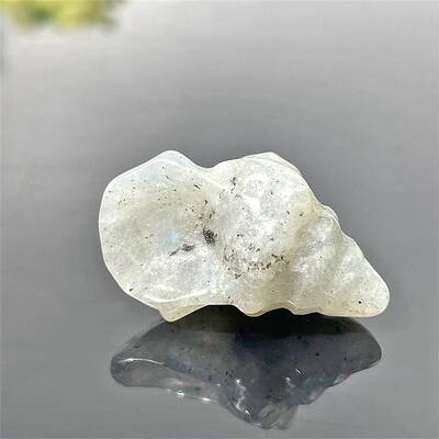 Natural Labradorite Carved Healing Conch Figurines