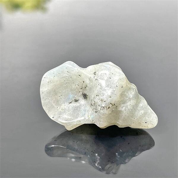 Natural Labradorite Carved Healing Conch Figurines