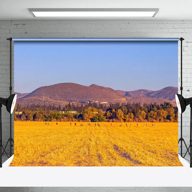 Aperturee Wheat Field After Harvest With Blue Sky Backdrop | Backdrop Photography Ideas | Photography Studio Background | Wal...