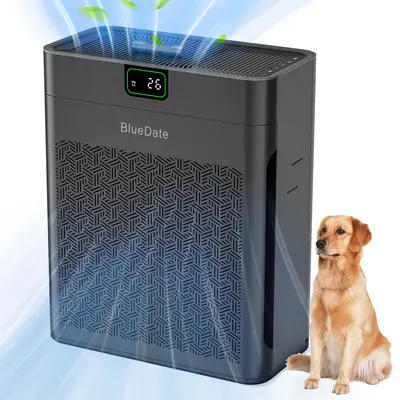 BlueDate Air Purifiers for Home Large Room up to 1100 Sq Ft with PM 2.5 Display Air Quality Sensor for Pet Hair, 25dB Sleep M...
