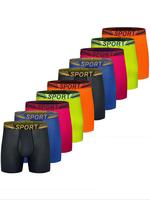 Men's Letter Tape Mesh Boxer Brief Quick Dry with Fly, Athleisure Regular Fit Casual Comfy Breathable Underwear for Daily Wea...