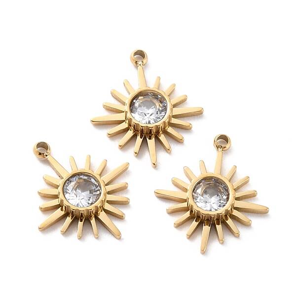 Ion Plating(IP) 316 Surgical Stainless Steel Charms