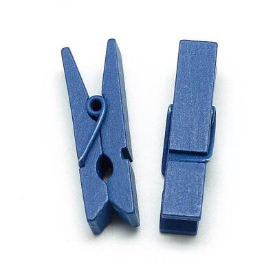 Dyed Wooden Craft Pegs Clips