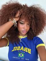 16 Inch Short Afro Kinky Curly Coily Hair Wigs for Women, Fluffy Glueless Wigs With Bangs, Summer Glueless Synthetic Full Mac...