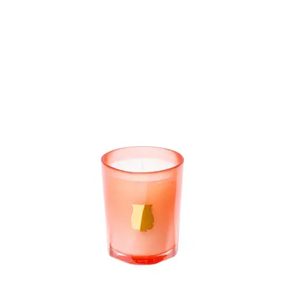 Trudon Tuileries Candle 70 g