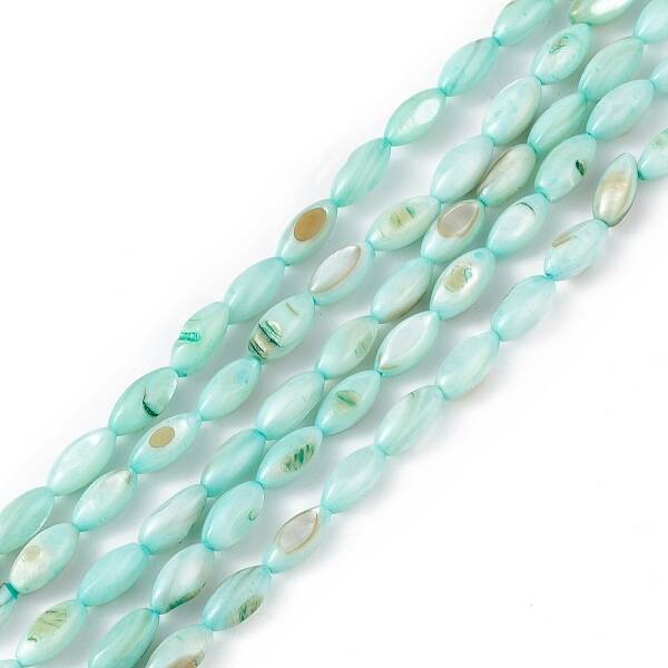 Natural Freshwater Shell Dyed Beads Strands