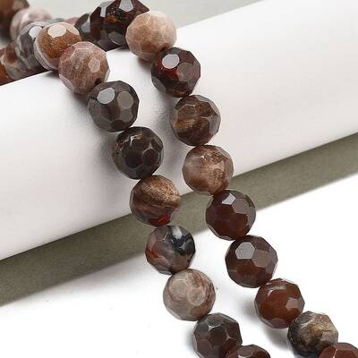 Natural Petrified Wood Beads Strands