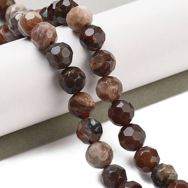 Natural Petrified Wood Beads Strands