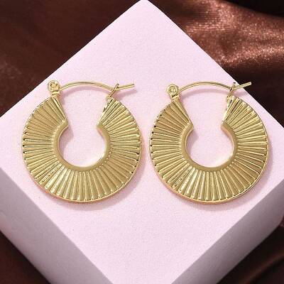 304 Stainless Steel Hoop Earrings for Women