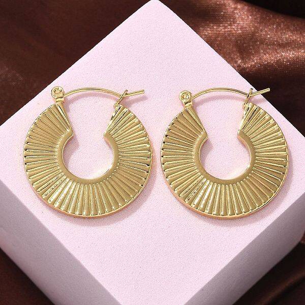 304 Stainless Steel Hoop Earrings for Women