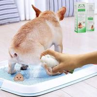 Pet Indoor Outdoor Urinal Training Aid Spray, Pet Supplies for Dog & Cat, Pet Behavior Training Spray, Christmas Gift