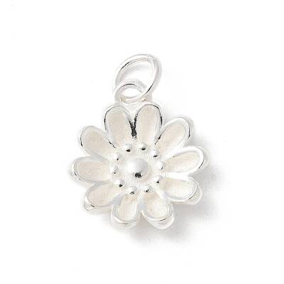 S925 Sterling Silver Charm