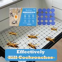 Roaches Begone in 24Hrs! This Secret Weapon Will Save Your Kitchen!