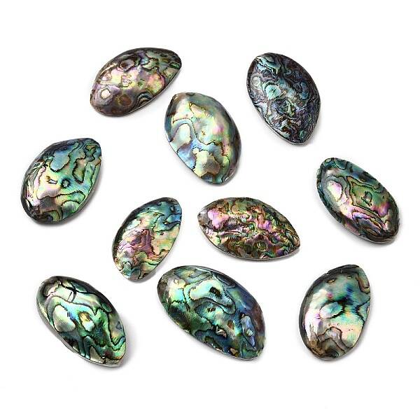 Natural Paua Shell Cabochons