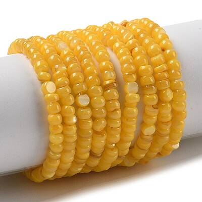 Natural Freshwater Shell Beads Strands