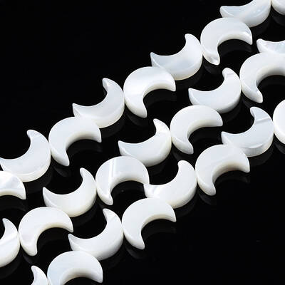 Natural Trochid Shell/Trochus Shell Beads Strands