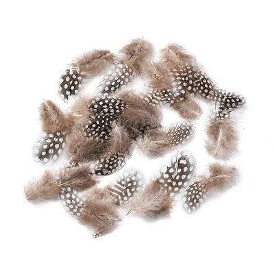 Fashion Feather Costume Accessories