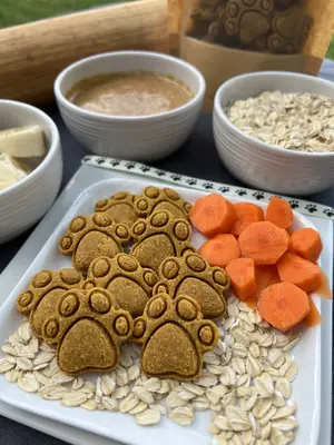 Farm Fresh Carrot Bites Organic Homemade Dog Treats