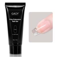 GAOY Poly Gel, 60g Nail Extension Gel, Clear Builder Gel Nail Enhancement Gel for Beginner & Professional Nail Art Salon DIY ...