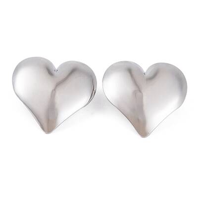 Non-Tarnish 304 Stainless Steel Stud Earrings for Women