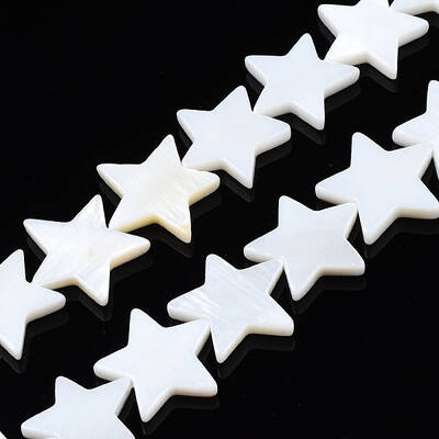 Natural Freshwater Shell Beads Strands