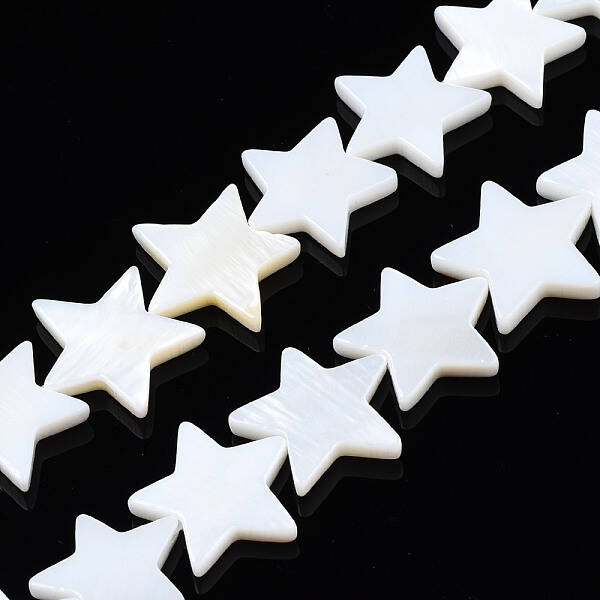 Natural Freshwater Shell Beads Strands