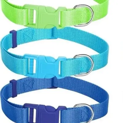 Personalized Large Dog Collars- 14\