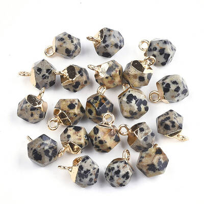Electroplate Natural Dalmatian Jasper Charms