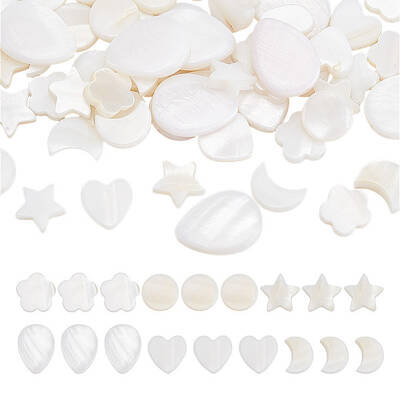 120Pcs 6 Styles Natural Shell Beads