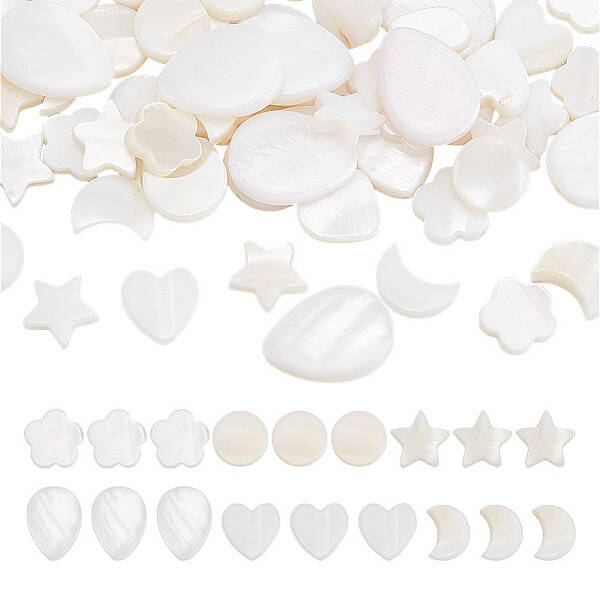 120Pcs 6 Styles Natural Shell Beads