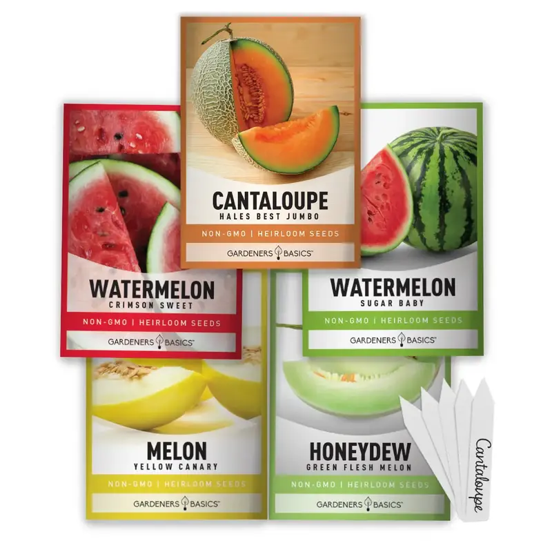 Assorted Melon Seeds | 5 Variety Pack seed  starter  kit fresh seed growing  kit